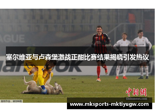 塞尔维亚与卢森堡激战正酣比赛结果揭晓引发热议